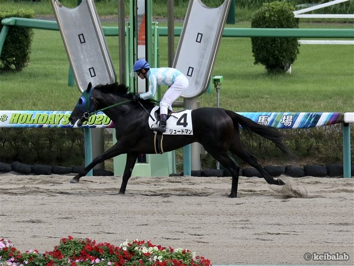 今年の競馬